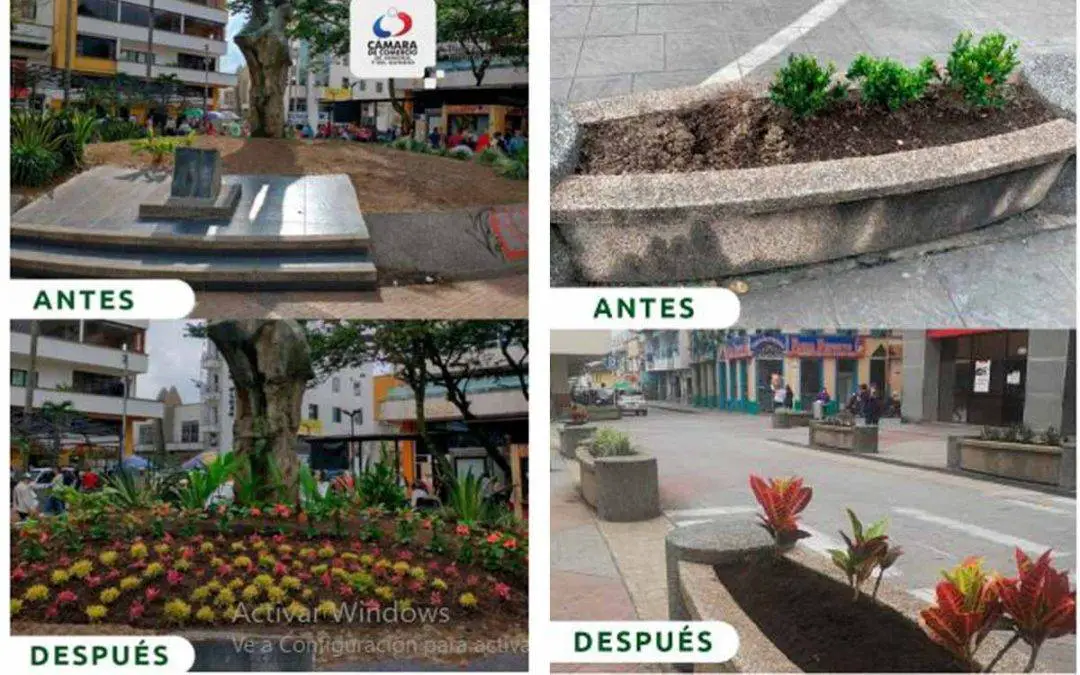 Cámara de Comercio trabaja en el embellecimiento de jardines en el Quindío