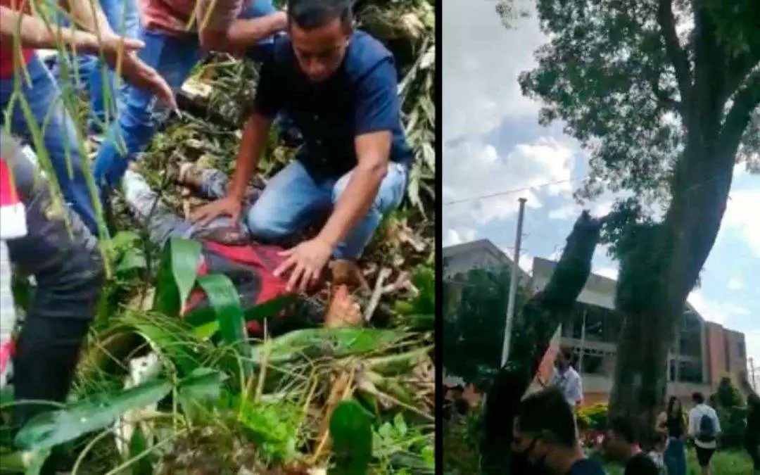 Rescate de personas atrapadas tras caída de árbol