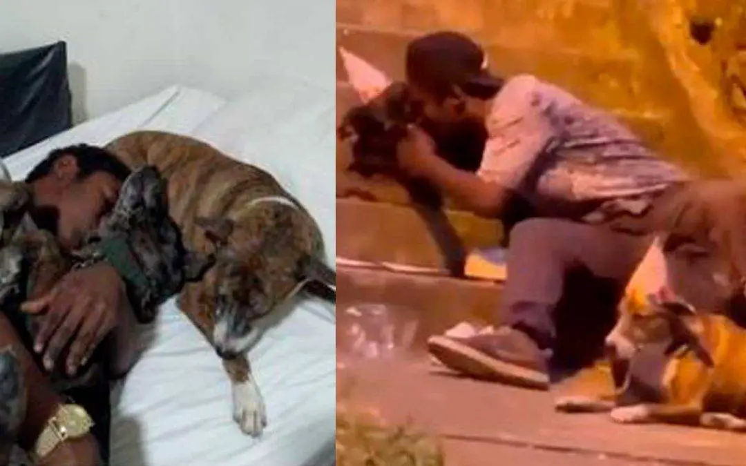 Habitante de calle que le celebró cumpleaños a sus perros