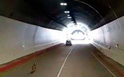 En video: abandonaron perrito en un túnel de La Línea