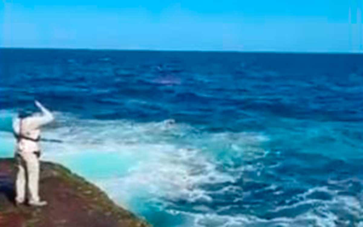 hombre fue devorado por tiburón en playa de Australia