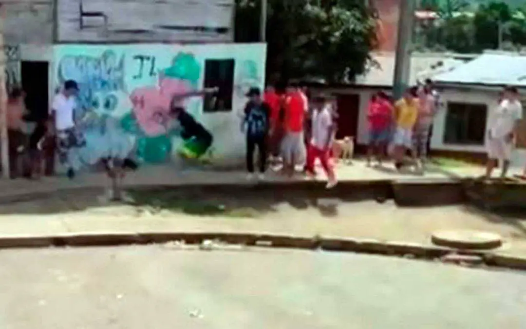 En video: Indignante caso de maltrato animal en Calarcá. Un perrito fue atacado a palo