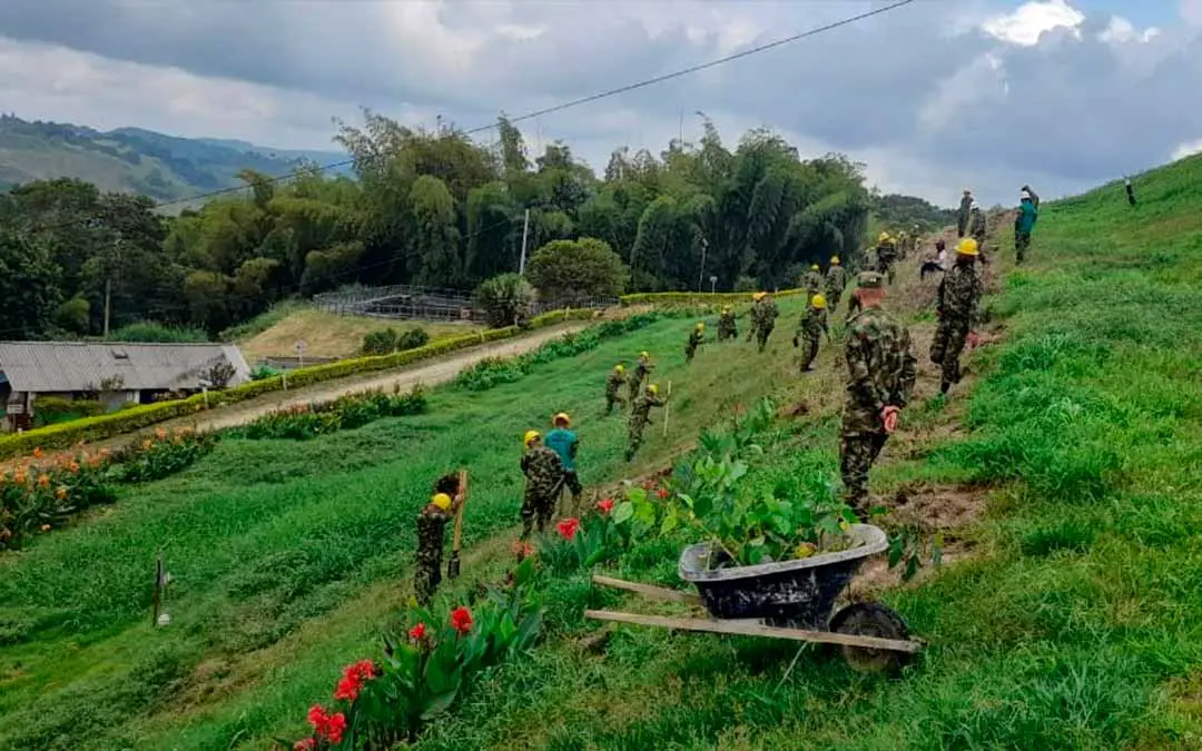 Sembraron 1000 árboles en el relleno sanitario en Montenegro