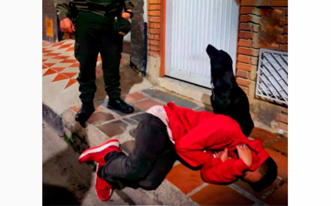 Video: Perrito cuidó a su amo borracho y dormido en un andén