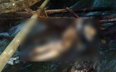 Encontraron cadáver descompuesto en El Caimo