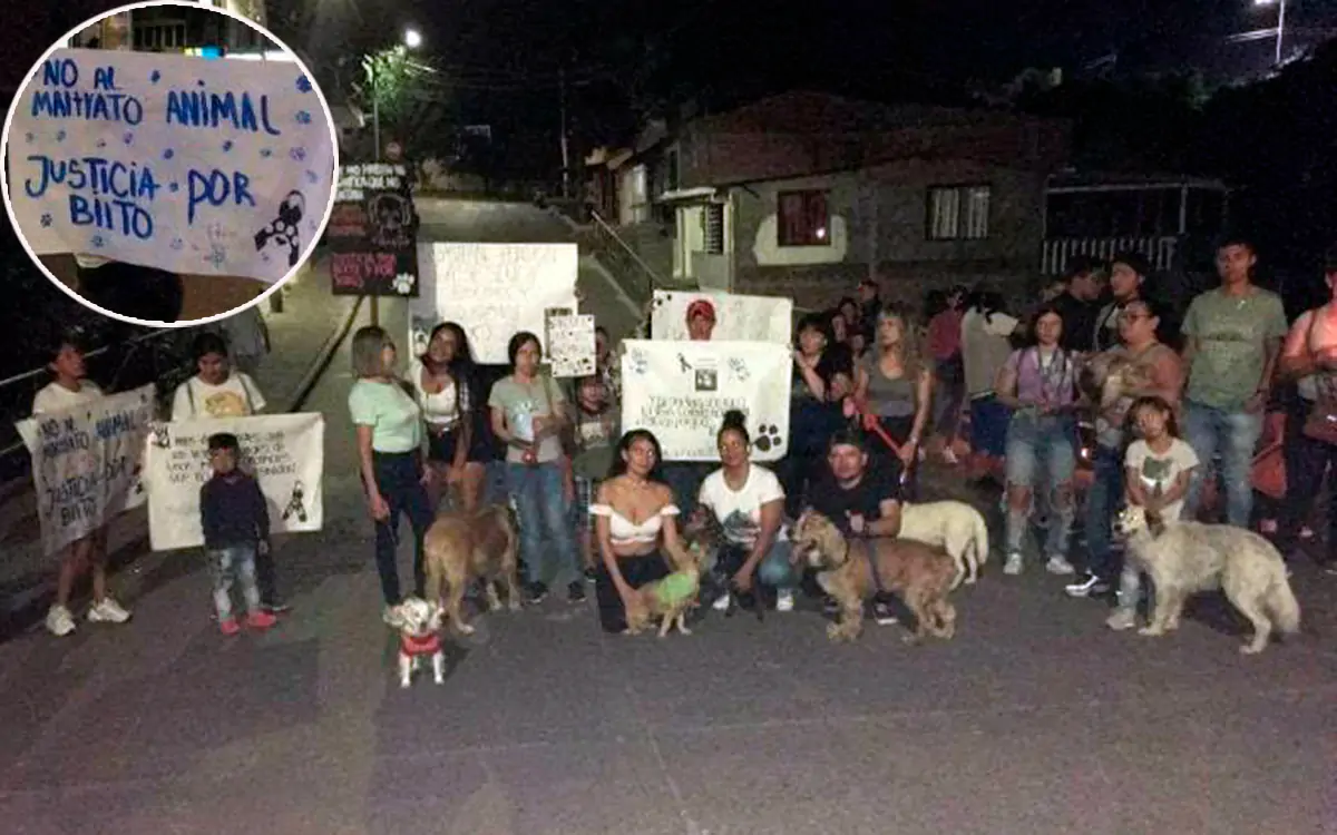 En Quimbaya hicieron velatón contra el maltrato animal
