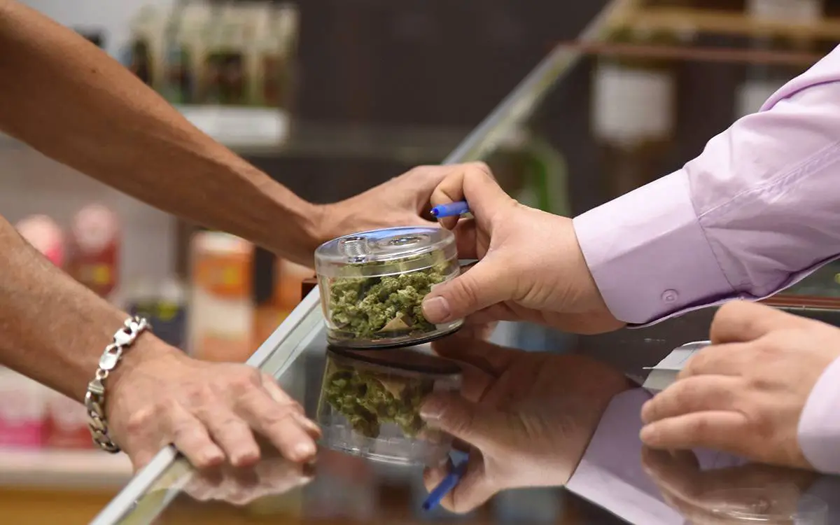 Quindío tendría primer dispensario legal de cannabis en Colombia