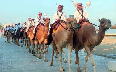 El ‘Virus del Camello’ que podría propagarse después del Mundial de Qatar