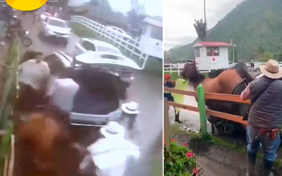 caballo destrozó camioneta en Salento huía de perro
