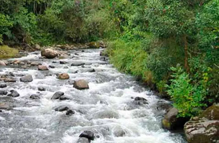 5 ríos del Quindío quedaron libres de concesiones de agua para hidroeléctricas
