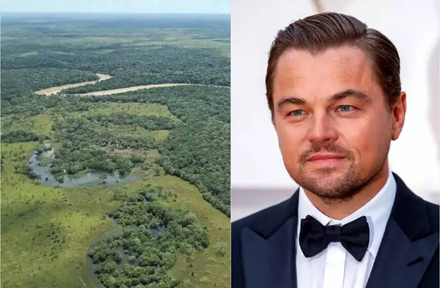 Leonardo DiCaprio elogió Colombia Parque Natural Nacional