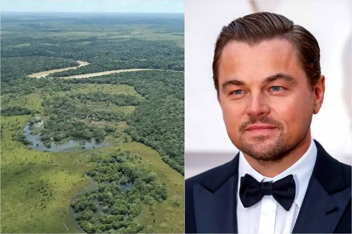 Leonardo DiCaprio elogió Colombia Parque Natural Nacional