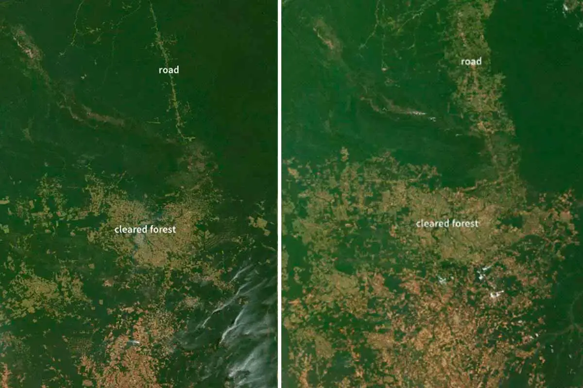 sequía Amazonas