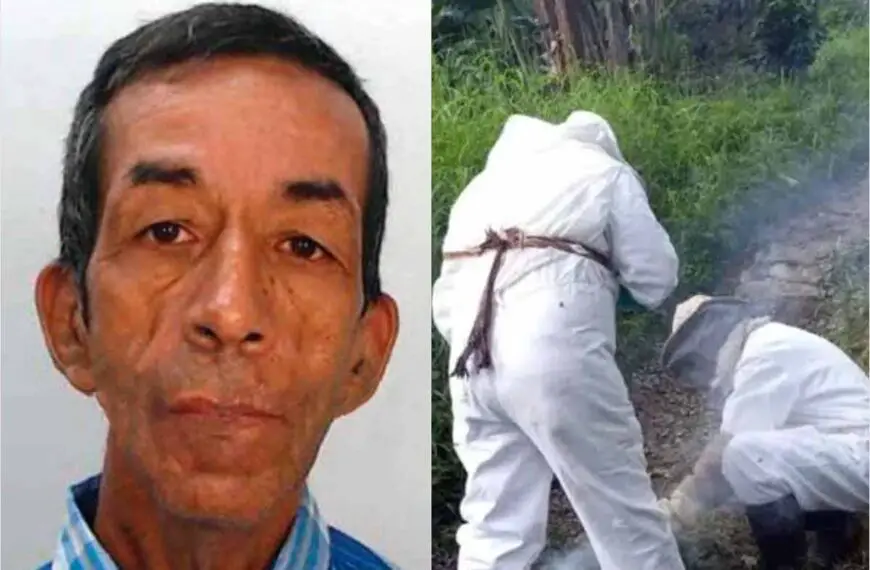 Don Antonio González, segundo campesino muerto tras ataque de abejas africanizadas en Calarcá