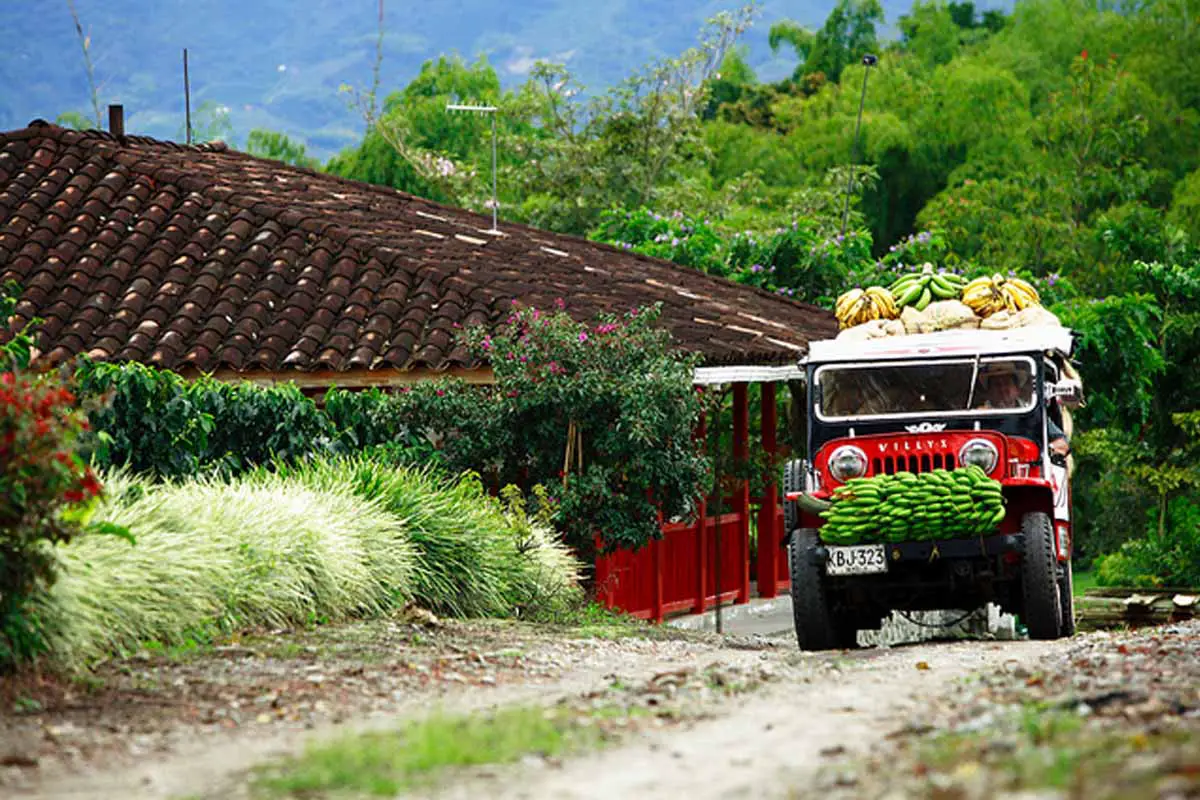 declaratoria Paisaje Cultural Cafetero Patrimonio Humanidad Unesco