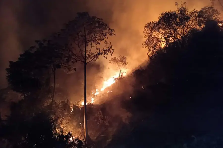 Incendios forestales