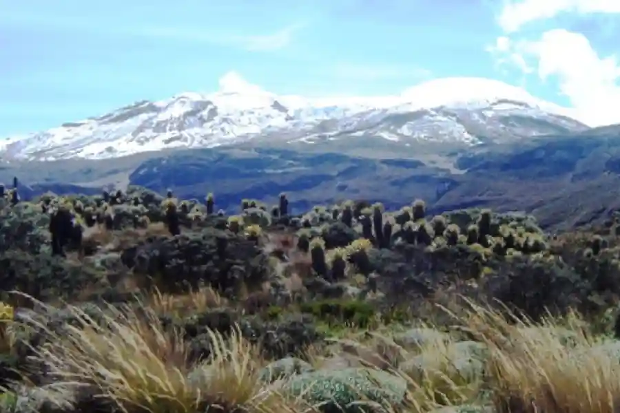 No venderán predios en Parque Los Nevados