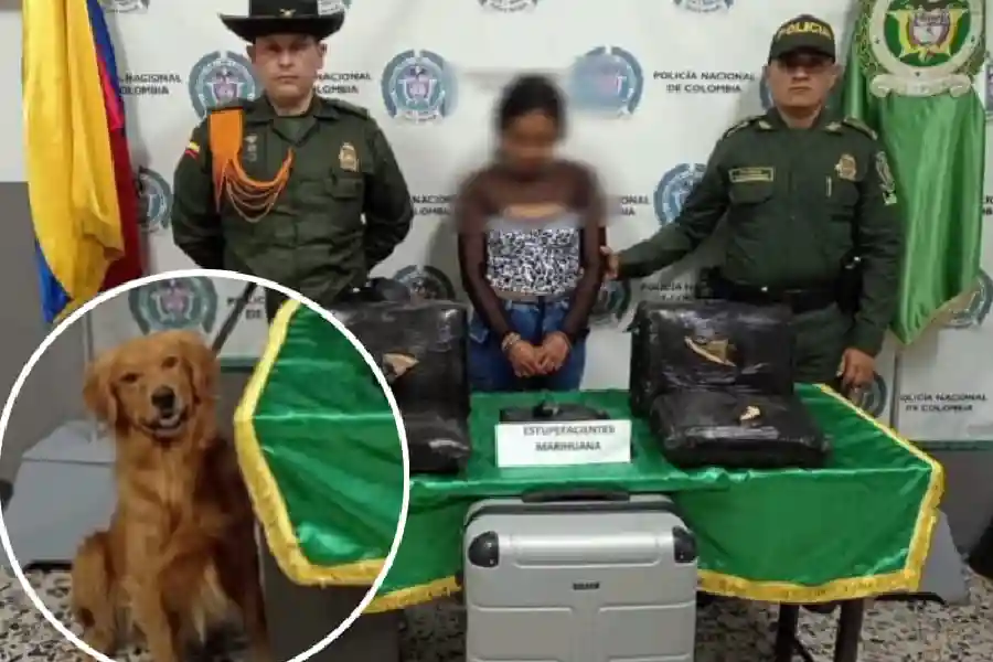 Thor el perro policía