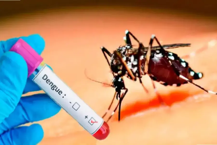 7 mil casos de dengue