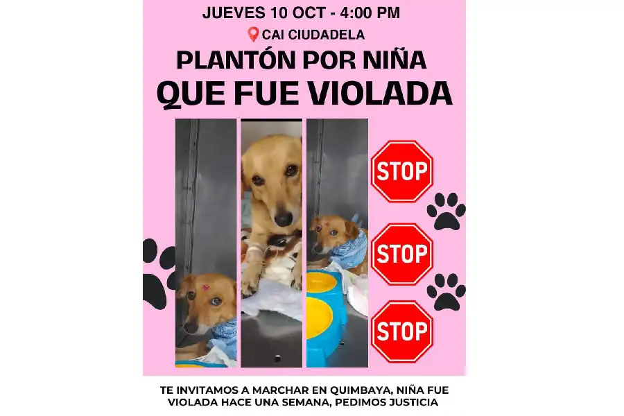 Perrita en Quimbaya fue violada