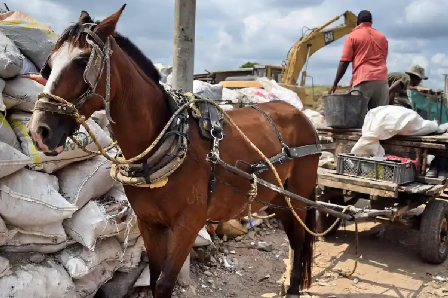 Se acaban las carretillas en Circasia