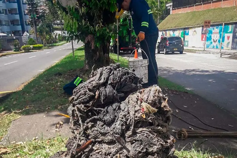 pañitos húmedos en alcantarillado