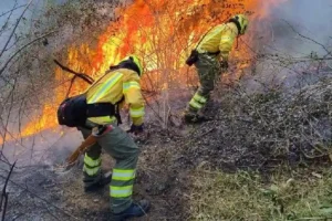 Bomberos del Quindío