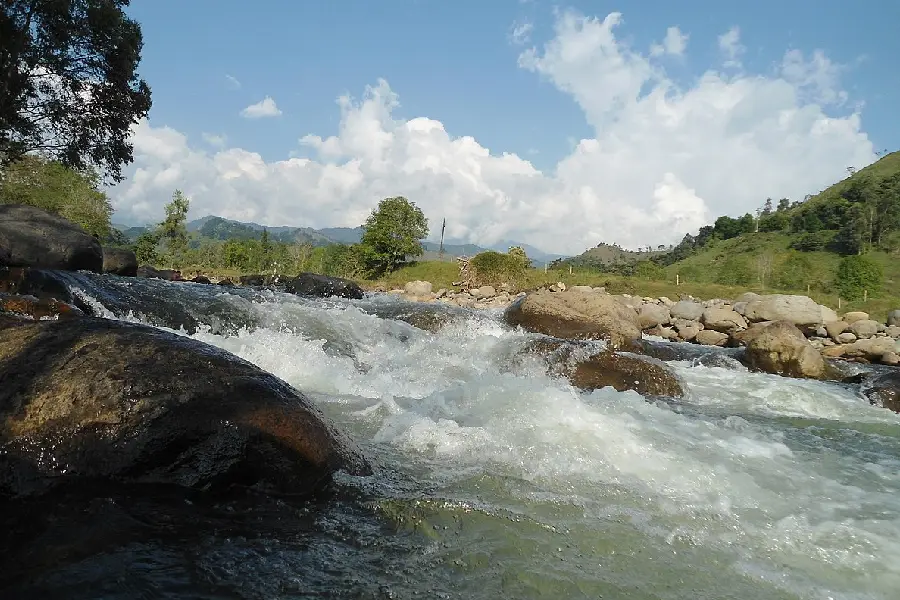 ahogadas en el río Quindío