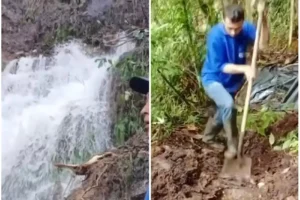 servicio de agua en Filandia y Montenegro