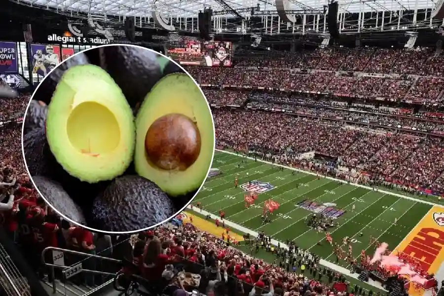 Aguacate Hass del Quindío presente en el Super Bowl