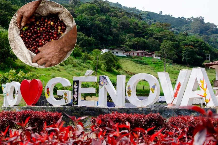 Génova vendió 45 mil millones de pesos en café