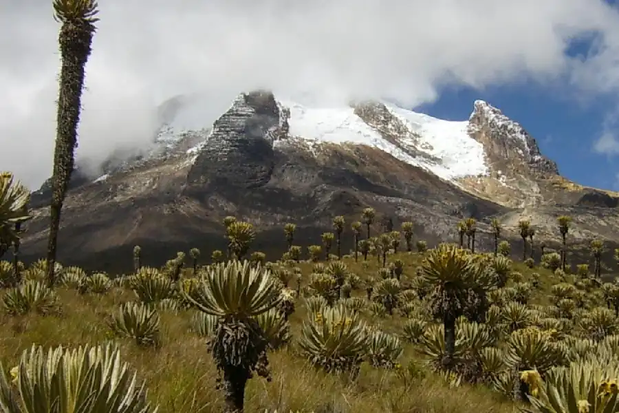 controles en el Quindío para ingresar al parque Los Nevados